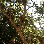 Casa Fatima *