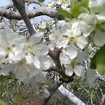 Hébergement de vacances Casa Fatima Valle Gran Rey