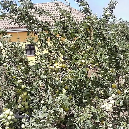 Сasa de vacaciones Casa Fátima *
